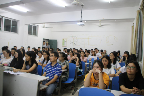 图片11 图片11