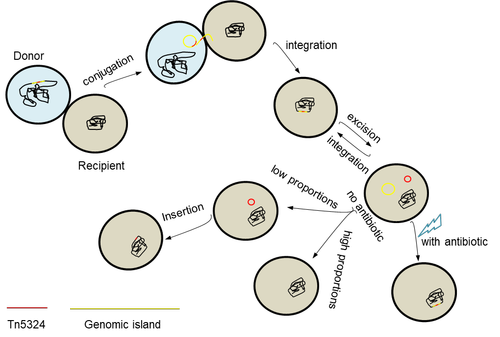 图片2 图片2