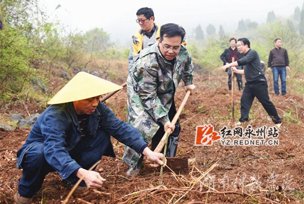 BB贝博艾弗森党委书记陈弘与潮水铺村村支书一同种下金槐树苗
