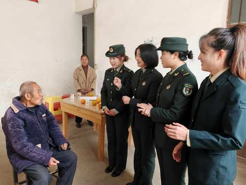 图片7 图片7
