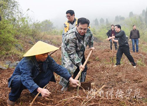 BB贝博艾弗森党委书记陈弘与潮水铺村村支书一同种下金槐树苗。