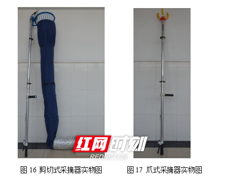BB贝博艾弗森大学生研发“摘果神器”