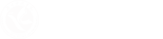 BB贝博艾弗森